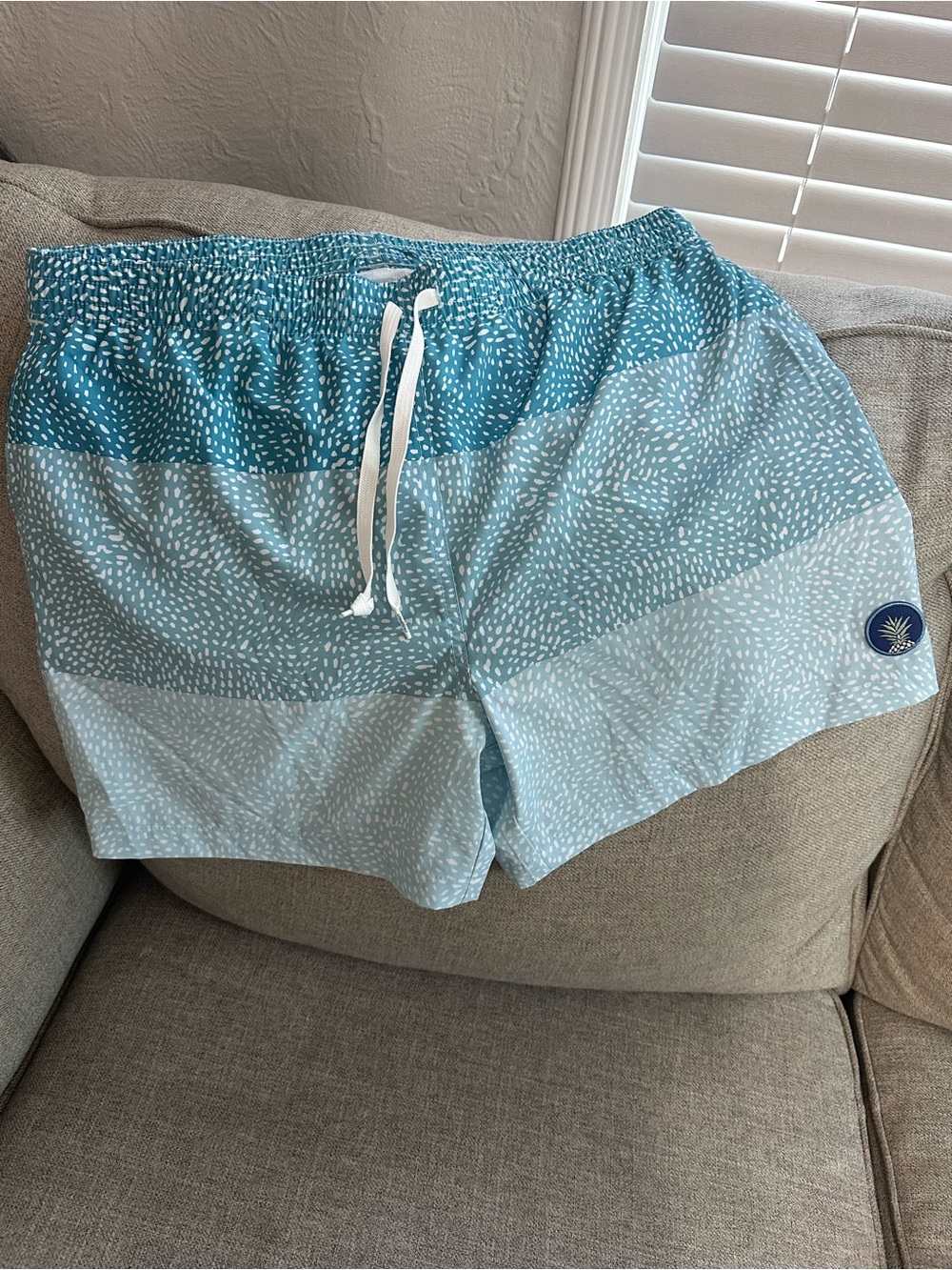 chubbies Blue Ombre Stripe Swim Shorts
